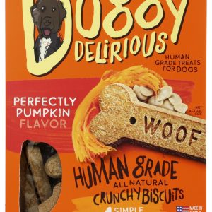 DOGGY DELIRIOUS: Dog Bone Pumpkin, 16 oz