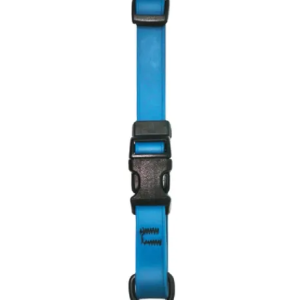 SCOTT PET: Dog Collar Blue Small, 1 ea
