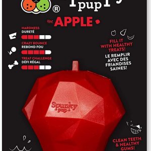 SPUNKY PUP: Treat Holding Apple Dog Toy, 1 ea