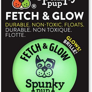 SPUNKY PUP: Large Fetch & Glow Ball Dog Toy, 1 ea