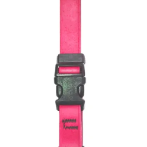 SCOTT PET: Dog Collar Hot Pink Small, 1 ea