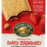 NATURE'S PATH: Unfrosted Berry Strawberry Toaster Pastries, 11 oz