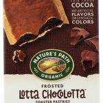 NATURE'S PATH: Organic Frosted Lotta Chocolotta Toaster Pastries, 11 oz