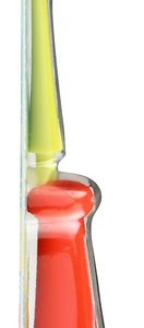 RADIUS: Big Kidz Forever Toothbrush, 1 ea