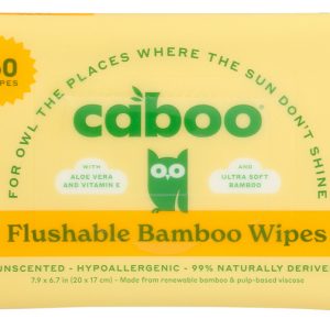 CABOO: Wipes Bamboo Flushable, 60 ct