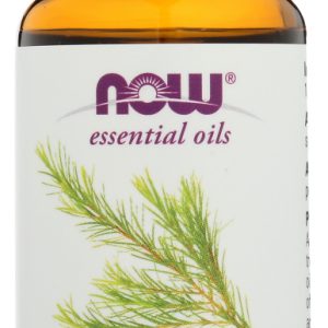 NOW: Oil Essntl Tea Tree, 1 oz