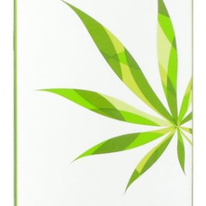 ANDALOU NATURALS: CannaCell Cleansing Foam, 5.5 fl oz