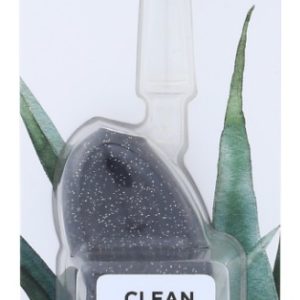 RADIUS: Big Brush with Replaceable Head Right Hand, 1 ea