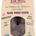 XOCHITL: Corn Chips Organic Blue Corn, 16 oz