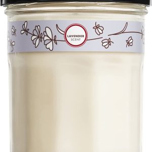 MRS MEYERS CLEAN DAY: Lavender Soy Candle Small, 4.9 oz