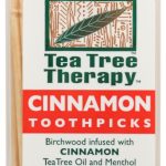 TEA TREE THERAPY: Cinnamon Toothpicks, 100 pc